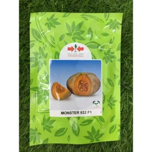 MONSTER 832 100G / Labu Manis, 南瓜 ，金瓜