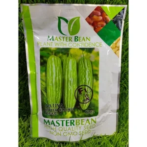 Master Bean F1 Peria Besar G222 100g Bitter Gourd F1 大花苦瓜