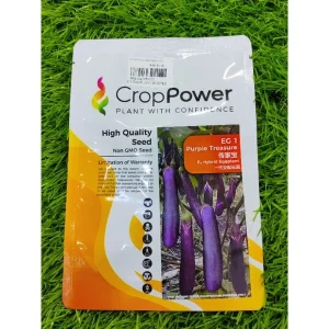 Crop Power EG1 purple treasure 传家宝f1 hybrid eggplant 10g