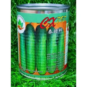CX797 100g BENIH TIMUN （THAI）F1 HYBRID CUCUMBER SEEDS 泰好料（泰国）青瓜|黄瓜种子
