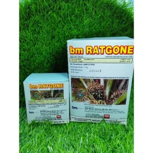 BM RATGONE 1KG / racun tikus