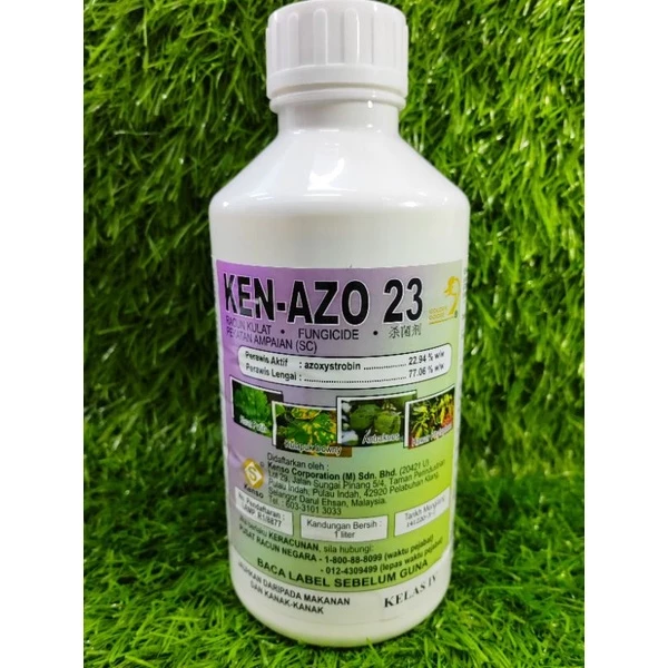 Jinsiy aloqaning orqa tomonini korishingiz mumkin