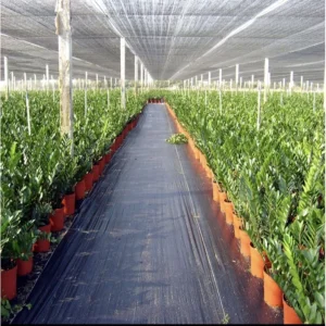 1.2M x 200M PE WEED MAT 防草布