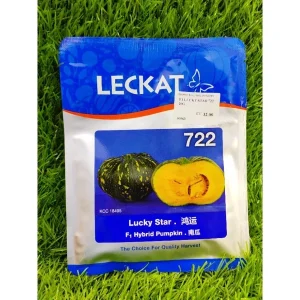 722 F1 Hybrid Pumpkin LUCKY STAR GWG 20g F1 Labu Manis鸿运 南瓜种子