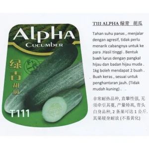 200G (7200+/-PCS) F1 ALPHA CUCUMBER BENIH TIMUN T111 绿青胡瓜/黄瓜 STAR PLANT SEEDS