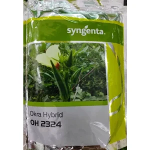 OKRA HYBRID OH-2324 250G Syngenta SEEDS / BENIH BENDI / 羊角豆种子