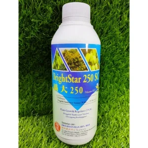 BRIGHTSTAR 250 SC 1L /搞大250 植物催花激素 | paclobutrazol 25.0%