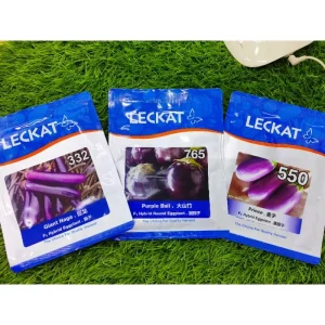 Leckat eggplant 332 gaint naga巨龙/ 765 purple ball大山竹 / 550 prince皇子 10g / Brinjal seeds