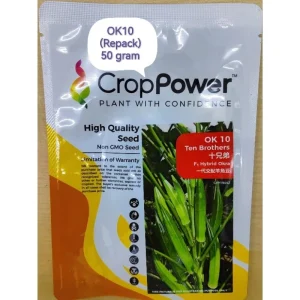 F1 HYBRID OKRA OK10 50G (REPACK) 十兄弟 羊角豆 kacang bendi