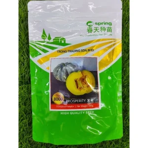 F1 hybrid Pumpkin PROSPERITY 8000 发哥 金瓜/南瓜（大型）200g