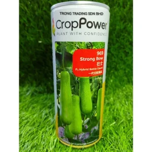 Benih Labu Air 969 Strong Bow 壮士 F1 Hybrid Bottle Gourd 一代交配蒲瓜 100g
