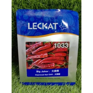 10g Leckat 1033 Big Johor benih cili besar CHILI Seed 大辣椒