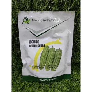 BG850 BITTER GOURD 大花苦瓜100g