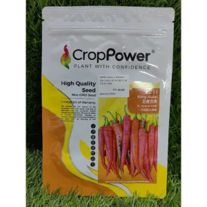 F1 KING KULAI CL11 CILI BESAR KULAI 大辣椒古来椒 10g CROP POWER