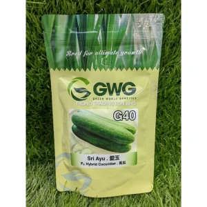 GWG G40 F1 Sri Ayu 100g TIMUN 爱玉 黄瓜 F1 Hybrid Cucumber.