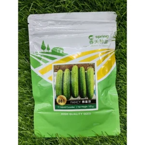 SPRING SEEDS FANCY 881 CUCUMBER 黄瓜 100g