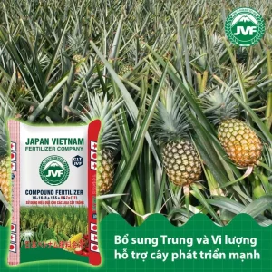 JVF 16-16-8+13S+TE 25KG JAPAN VIETNAM FERTILIZER