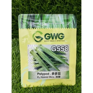 GWG G558 F1 Hybrid OKRA 多多豆 50g 羊角豆 秋葵