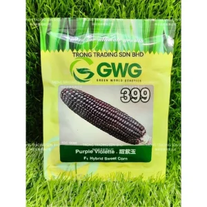 GWG F1 399 PURPLE VIOLETTE 甜紫玉米