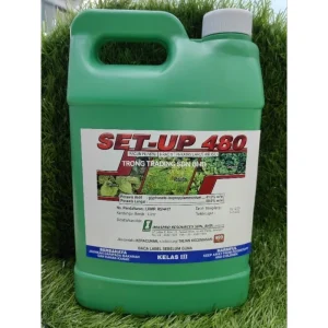 SET-UP 480 4L A.I:glyphosate-isopropylammonium 41%