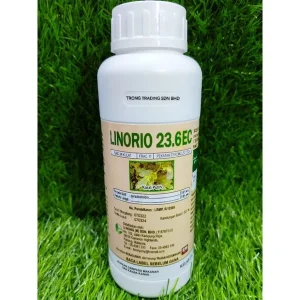 LINORIO 23.6 EC  500ML / A.I:pyraclostrobin 23.6% / Sejenis Cabrio