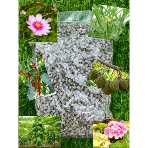 Bloom flower BAJA ORGANIC BUNGA DAN BUAH 2kg 有机肥