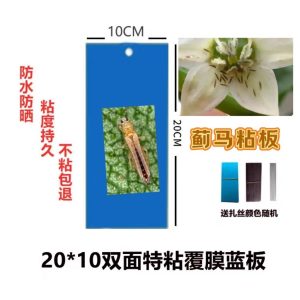 双面蓟马粘板 DOUBLE SIDE Thrips trap sticky board 50pcs