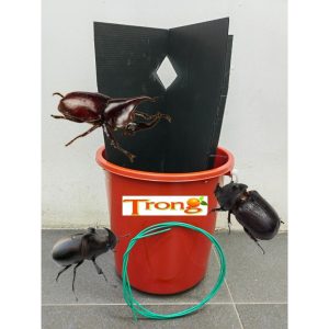 OIL PALM BEETLE CAPTURE BUCKET 油棕犀甲虫捕抓器 TANGKAP BALDI Kumbang Tanduk (CAPTURE BUCKET ONLY NOT INCLUDE BM KABUTO)